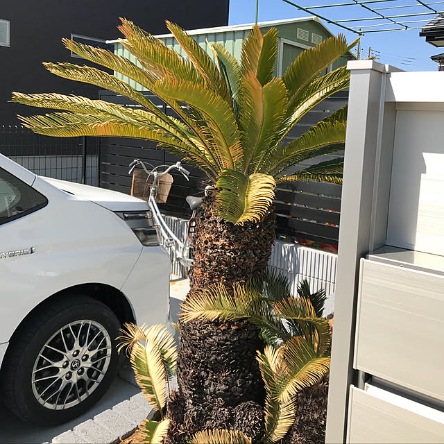 Moeさんの実例写真