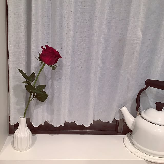 kikujiroさんの実例写真