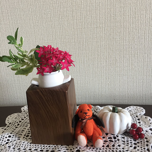 tirolさんの実例写真