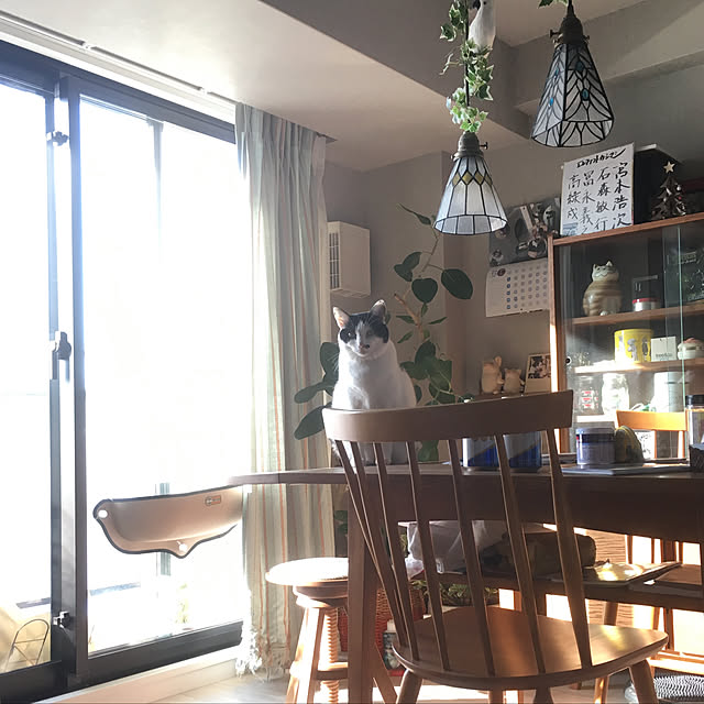 hanaさんの実例写真