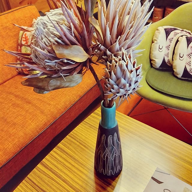 takeさんの実例写真