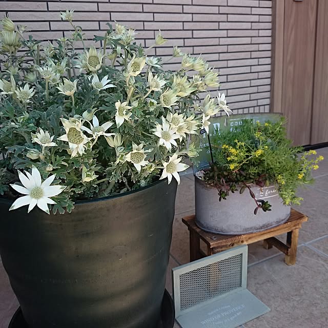 kanaさんの実例写真