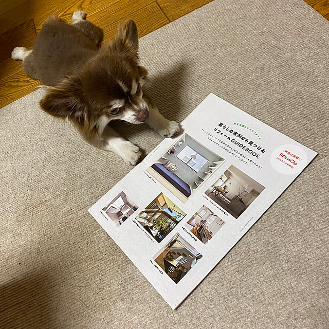 chIoeさんの部屋