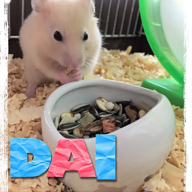 fruity anさんの実例写真