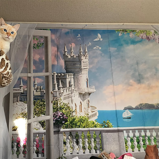 ikunyanさんの実例写真