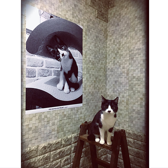 nodokaさんの実例写真