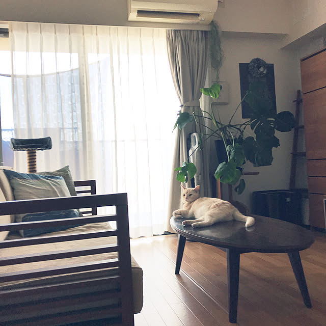 hiyupan88さんの実例写真