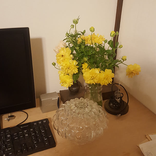 nokiさんの実例写真