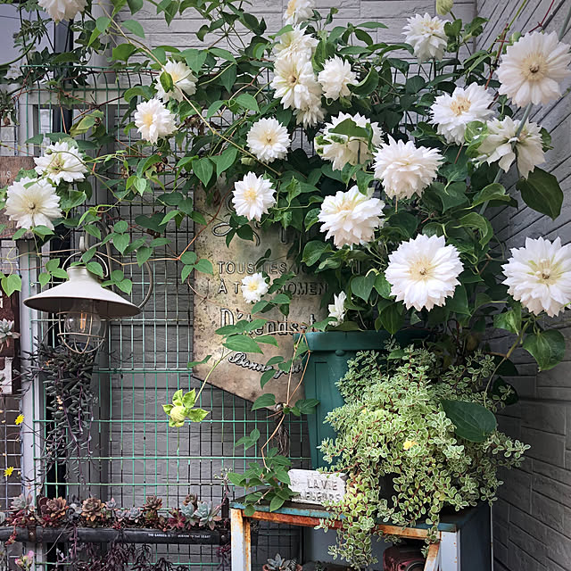 bibianさんの実例写真