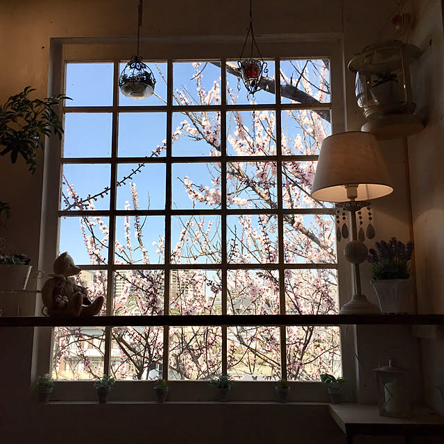 RIERINさんの実例写真