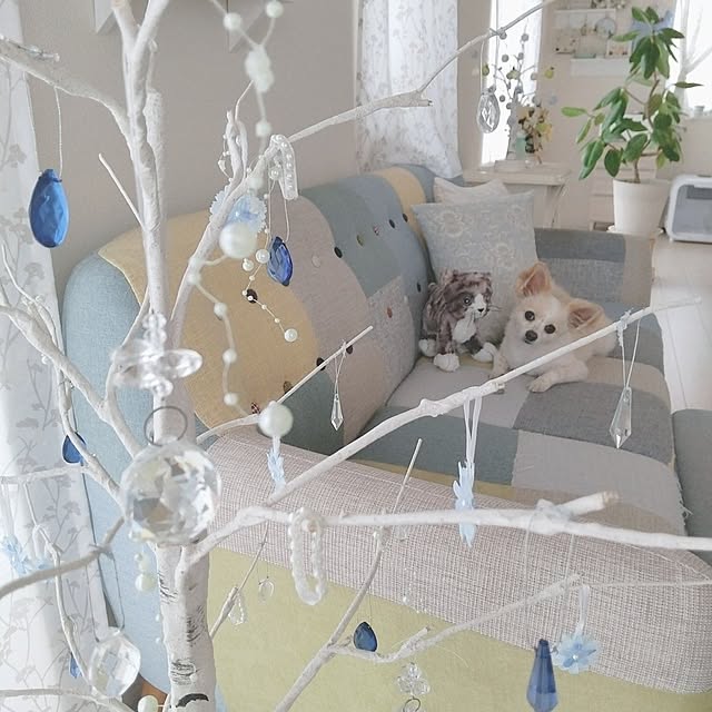 PAOさんの部屋