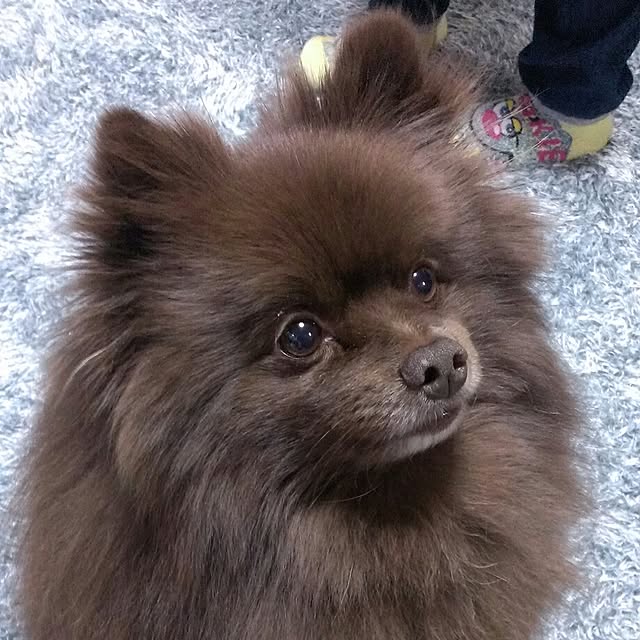 manmaru3さんの実例写真