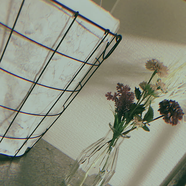 セリア/100均/ダイソー/IKEA/棚のインテリア実例 - 2020-05-21 02:58:51