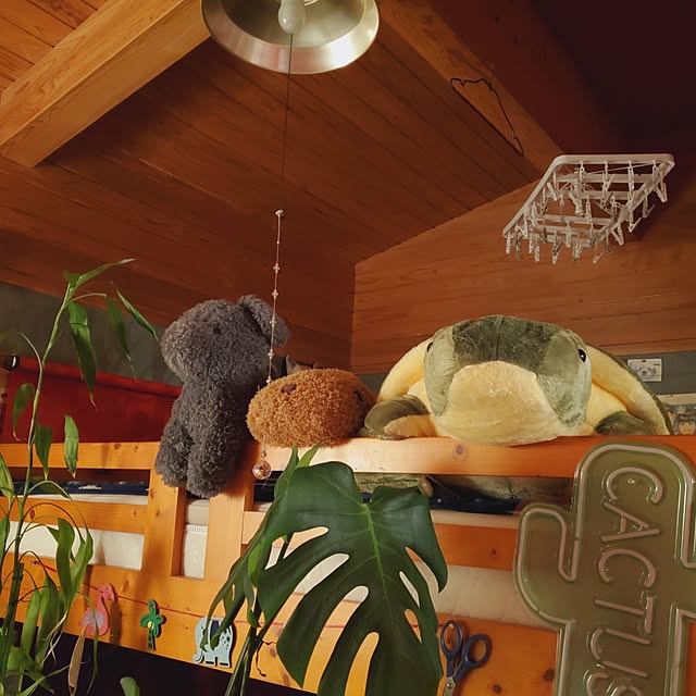 kumutanさんの部屋