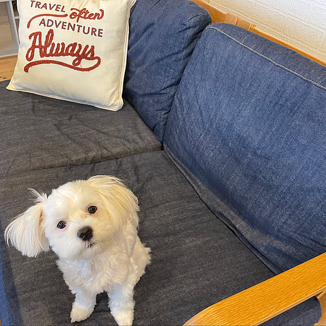 Kurumiさんの実例写真