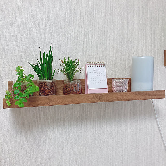 george.biscuitさんの実例写真