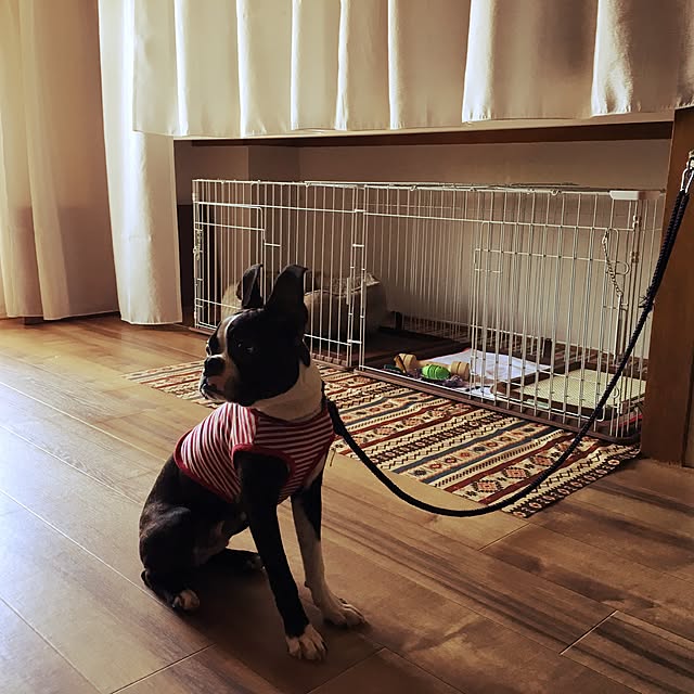 ayumi.Hさんの実例写真