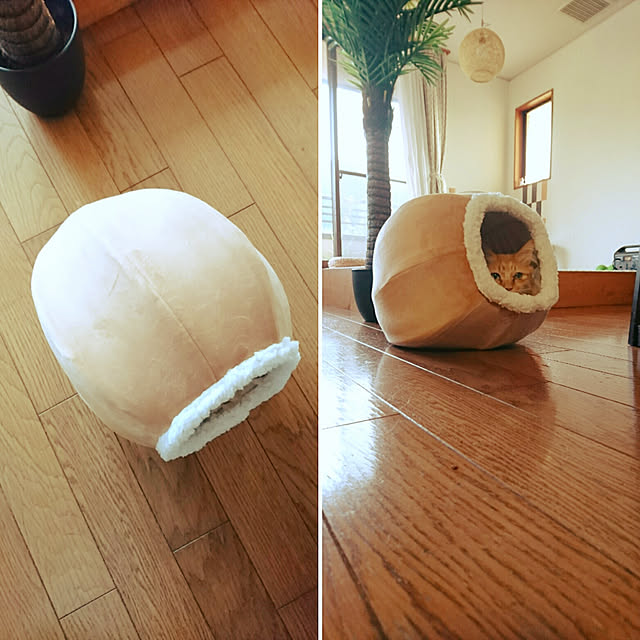 uchizukonyanさんの実例写真