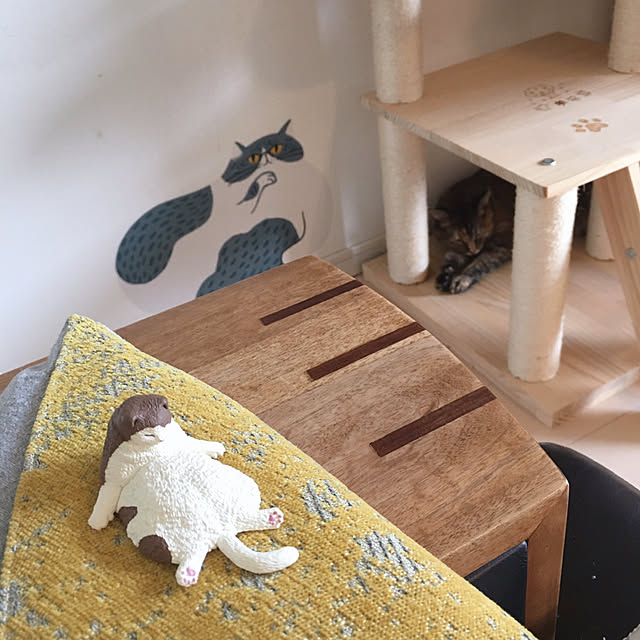 oasisさんの部屋