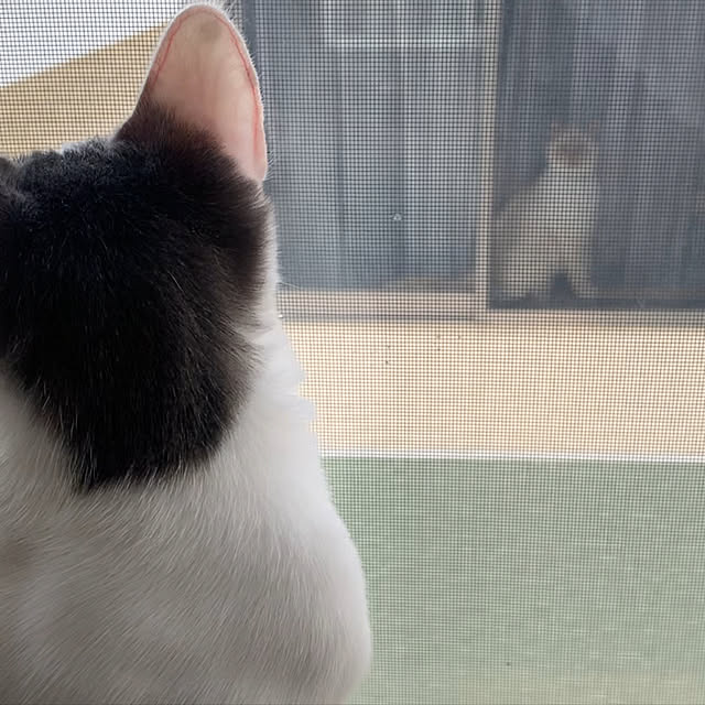 Fumiさんの実例写真