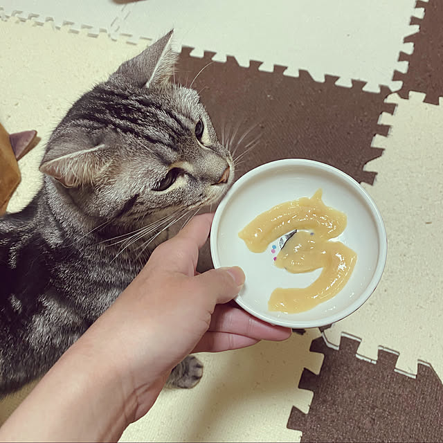 KotarouKunさんの実例写真