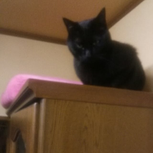 tomopさんの実例写真