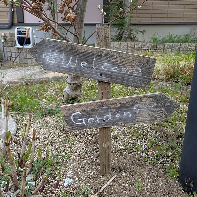 dadaさんの実例写真