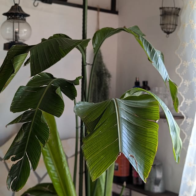 naoさんの部屋