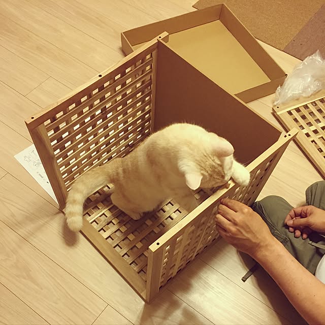 y.k.0123さんの実例写真