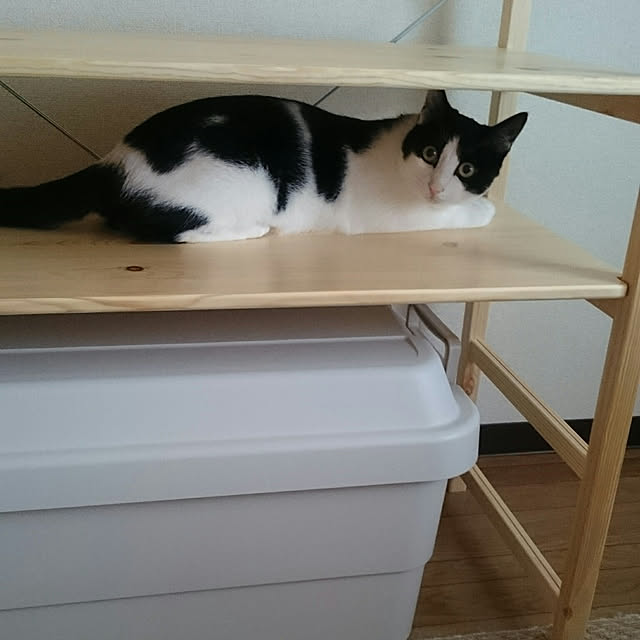 MUさんの実例写真