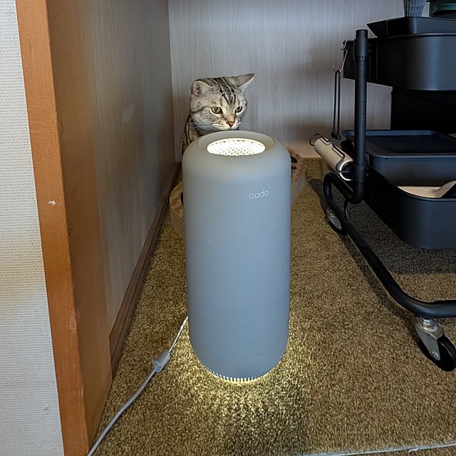 lovepeaceさんの部屋