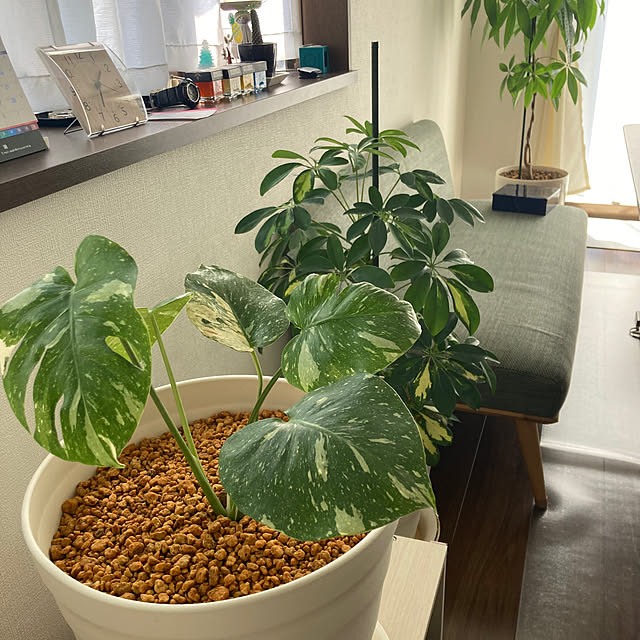 mamaさんの実例写真