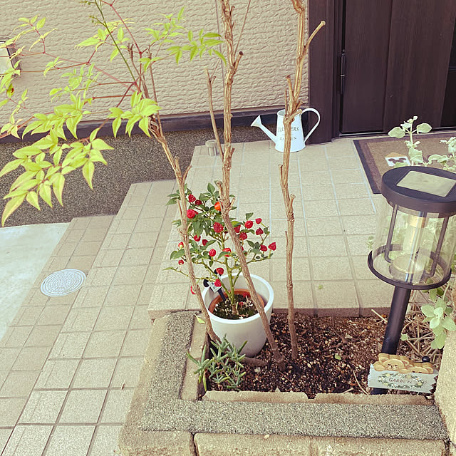 tocoさんの実例写真