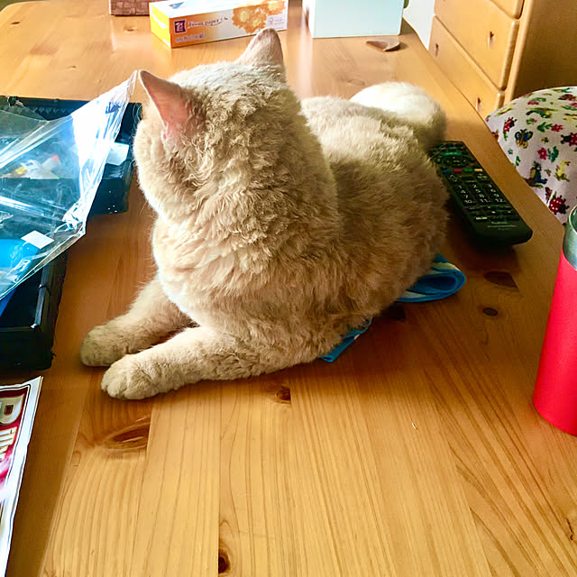 naokoさんの部屋
