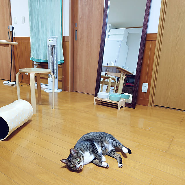nachiさんの実例写真