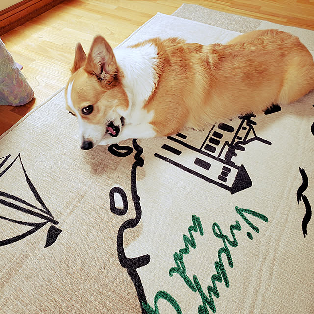 akimameさんの実例写真
