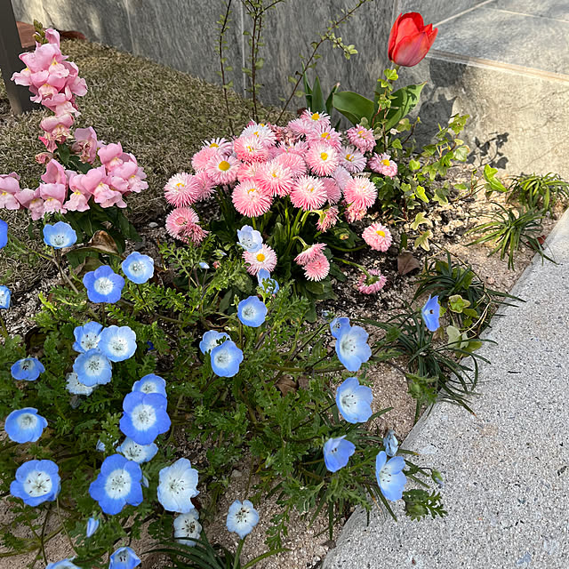 sansoさんの実例写真