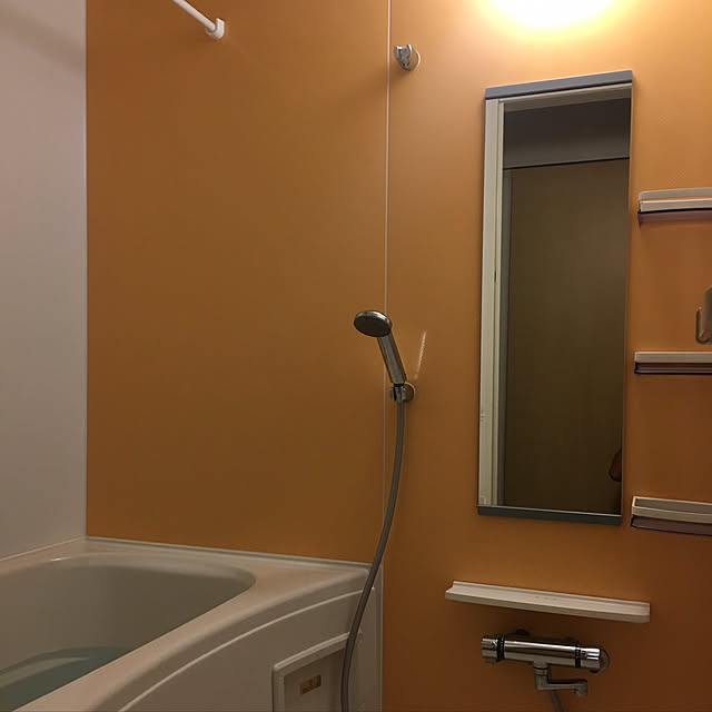 tetra163さんの実例写真