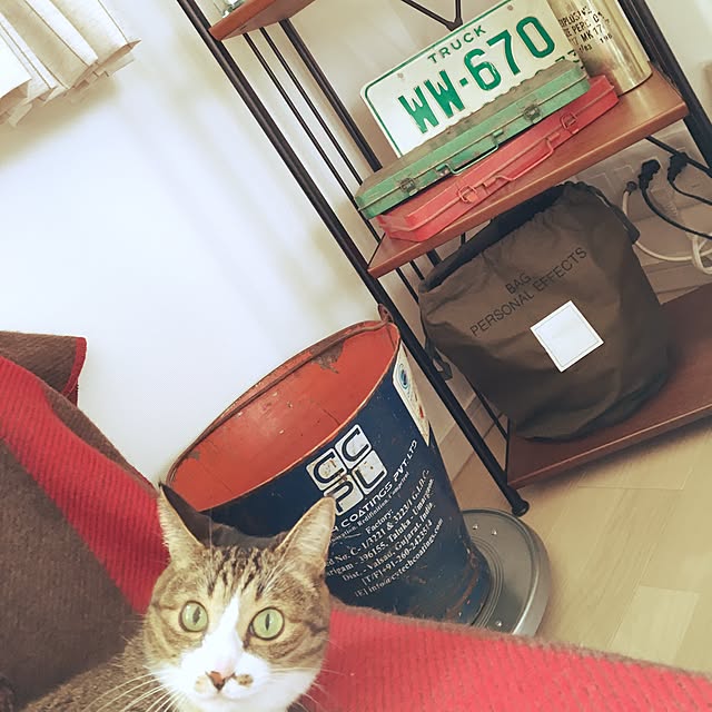 ayapiiiiceさんの実例写真