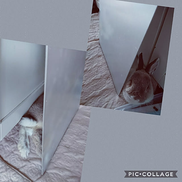yokomokoさんの実例写真
