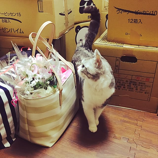 narashimhaさんの実例写真