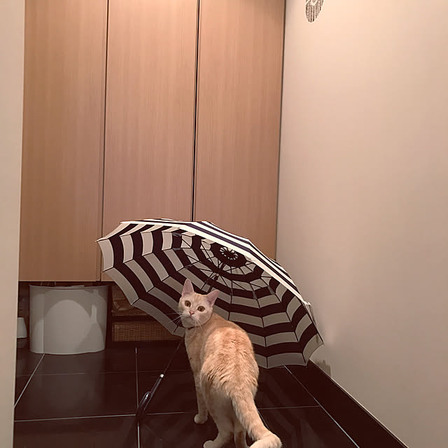 hiyupan88さんの実例写真
