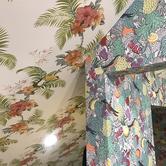 実例写真