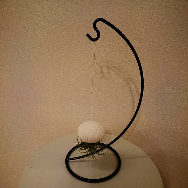 piolaniさんの実例写真