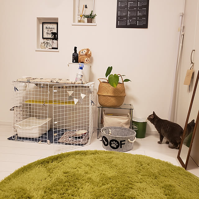 megu.catさんの実例写真