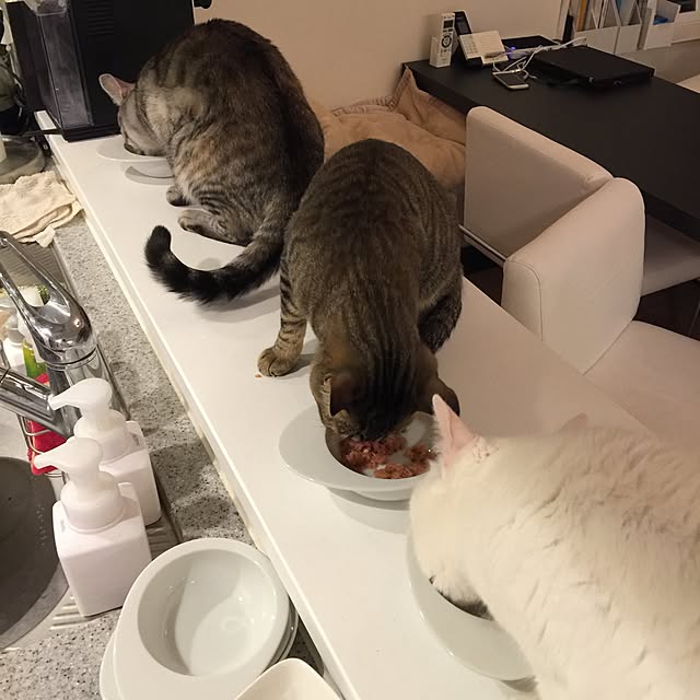 canal108yyさんの実例写真