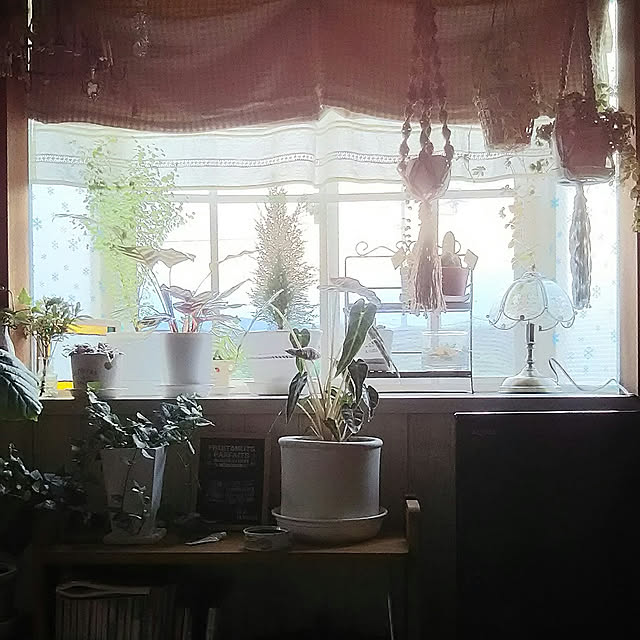 naopyiさんの実例写真