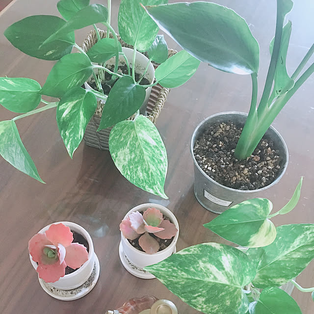 m.homeさんの実例写真