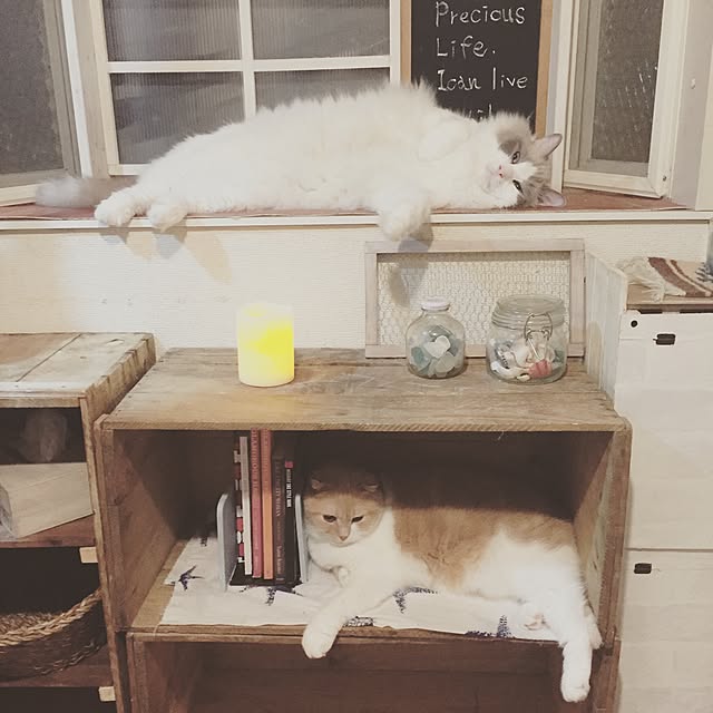 runtenさんの実例写真