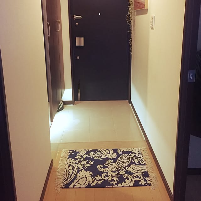 玄関/入り口のインテリア実例 - 2017-05-22 15:52:53